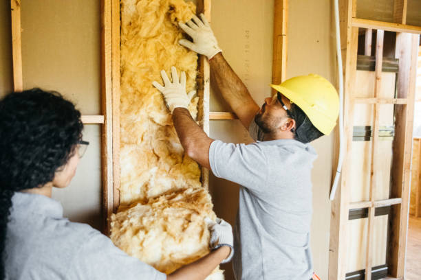 Best Attic Insulation Installation  in Roslyn, NY